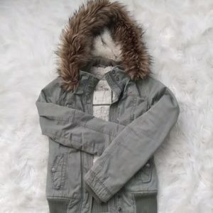 Hollister Olive Winter Jacket